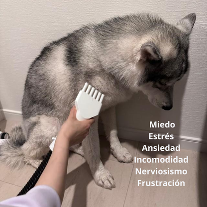 Bolsa de Secado para Mascotas sin Estrés.